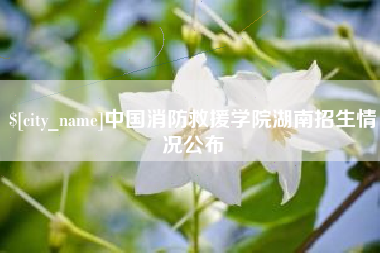 南通中国消防救援学院湖南招生情况公布