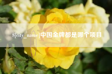 南通中国金牌都是哪个项目