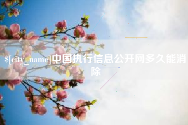 南通中国执行信息公开网多久能消除