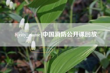 南通中国消防公开课回放