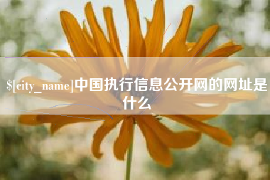 南通中国执行信息公开网的网址是什么