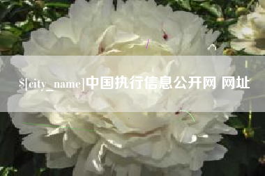 南通中国执行信息公开网 网址