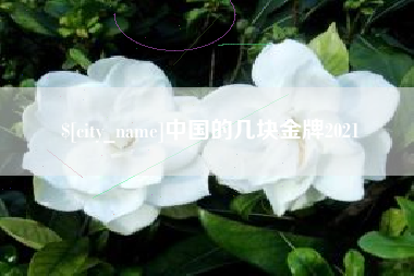 南通中国的几块金牌2021