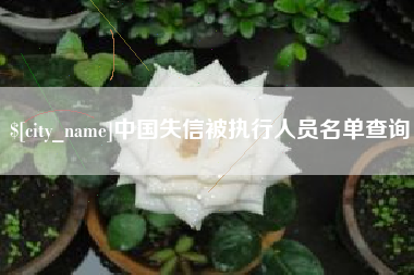 南通中国失信被执行人员名单查询