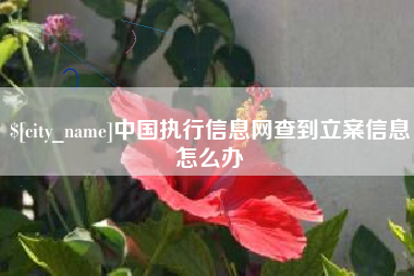 南通中国执行信息网查到立案信息怎么办