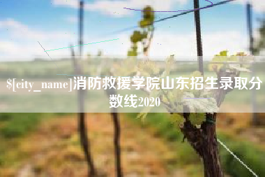 南通消防救援学院山东招生录取分数线2020