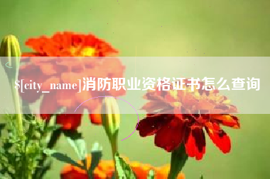 南通消防职业资格证书怎么查询