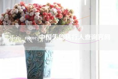 南通中国失信执行人查询官网