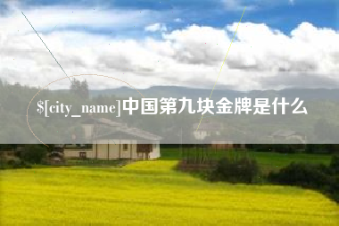 南通中国第九块金牌是什么