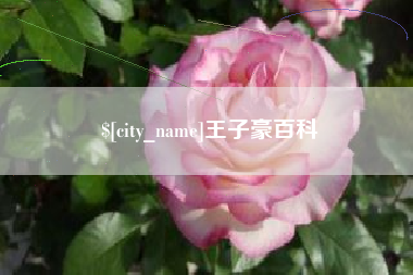 南通王子豪百科