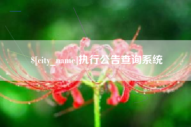南通执行公告查询系统