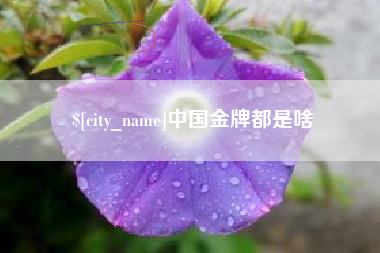 南通中国金牌都是啥