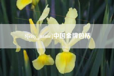南通中国金牌包括