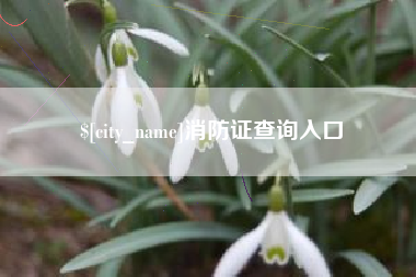 南通消防证查询入口