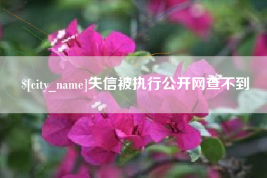 南通失信被执行公开网查不到
