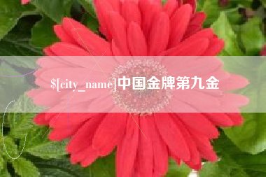 南通中国金牌第九金