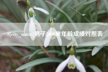 南通男子5000米年龄成绩对照表