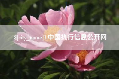 南通1.中国执行信息公开网