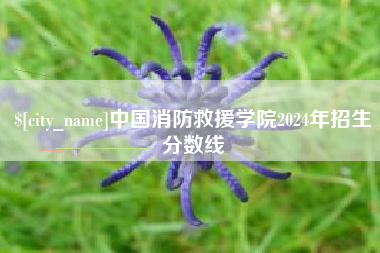 南通中国消防救援学院2024年招生分数线
