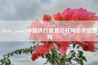 南通中国执行信息公开网会发信息吗