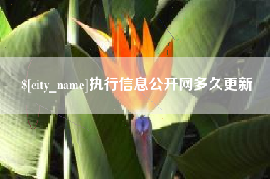 南通执行信息公开网多久更新