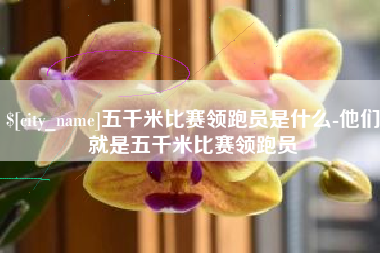 南通五千米比赛领跑员是什么-他们就是五千米比赛领跑员