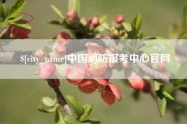 南通中国消防报考中心官网
