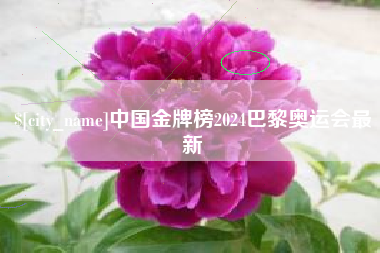 南通中国金牌榜2024巴黎奥运会最新