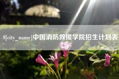 南通中国消防救援学院招生计划表