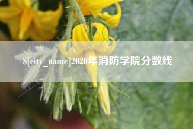 南通2020年消防学院分数线