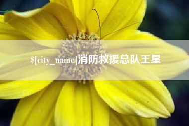 南通消防救援总队王星