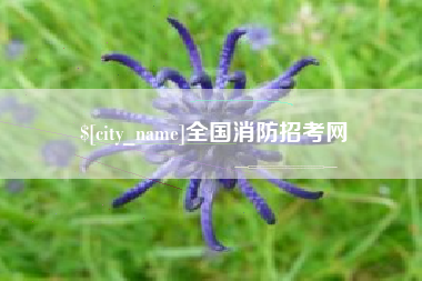 南通全国消防招考网