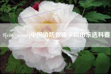 南通中国消防救援学院山东选科要求
