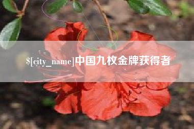 南通中国九枚金牌获得者