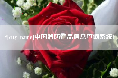 南通中国消防产品信息查询系统1