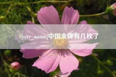 南通中国金牌有几枚了