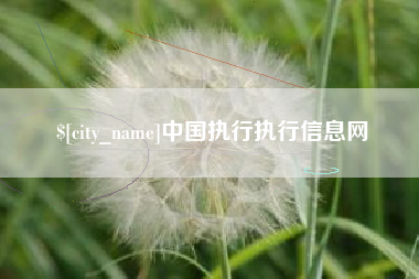 南通中国执行执行信息网
