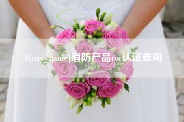 南通消防产品ccc认证查询