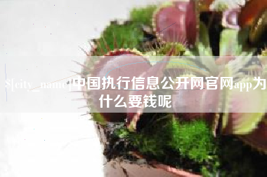 南通中国执行信息公开网官网app为什么要钱呢