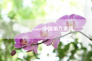 南通中国第九金牌