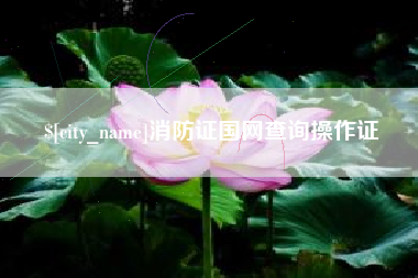 南通消防证国网查询操作证
