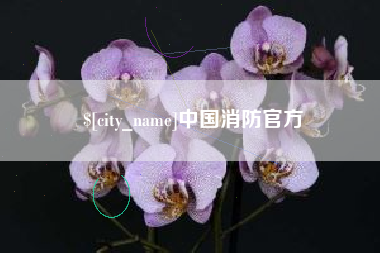 南通中国消防官方