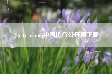 南通中国执行公开网下载