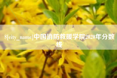 南通中国消防救援学院2020年分数线