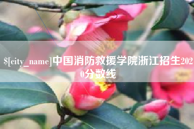 南通中国消防救援学院浙江招生2020分数线