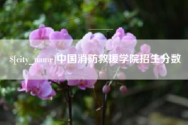 南通中国消防救援学院招生分数