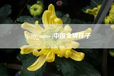 南通中国金牌样子