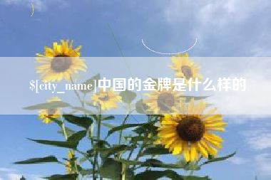 南通中国的金牌是什么样的