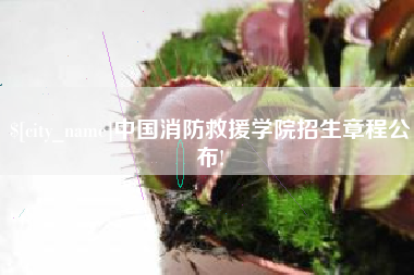 南通中国消防救援学院招生章程公布!