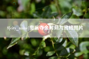 南通奥运夺金时刻九宫格图片